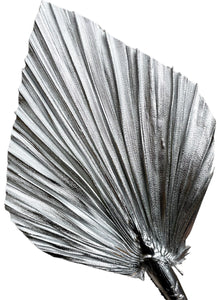 Silver Palms