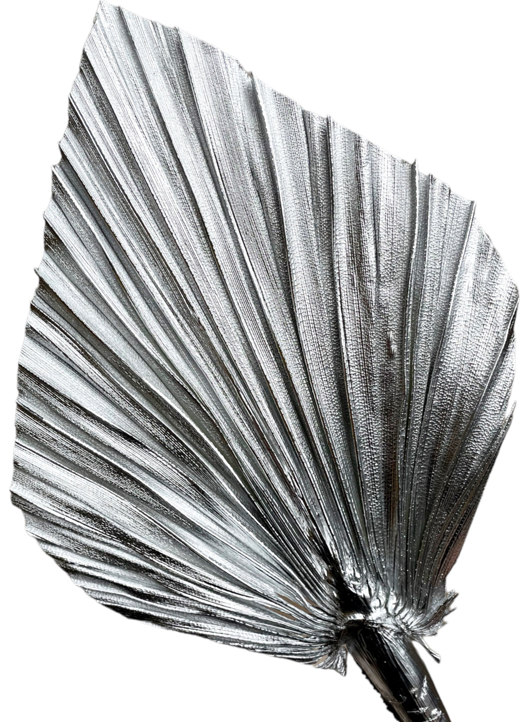 Silver Palms