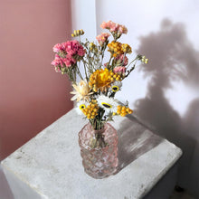Load image into Gallery viewer, Mini Sunbeam Meadows
