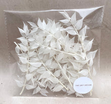 Load image into Gallery viewer, Bleached Ruscus
