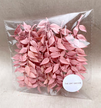 Load image into Gallery viewer, Pink Ruscus
