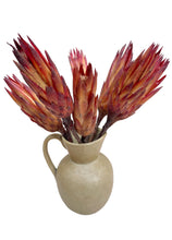 Load image into Gallery viewer, Dried Protea Pendula
