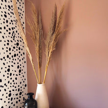 Load image into Gallery viewer, Dried Pampas Grass

