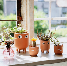 Load image into Gallery viewer, Mini Glam Planter
