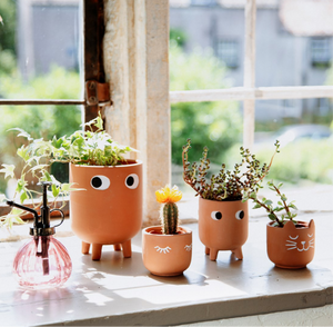 Mini Glam Planter