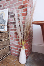 Load image into Gallery viewer, Dried Pampas Grass
